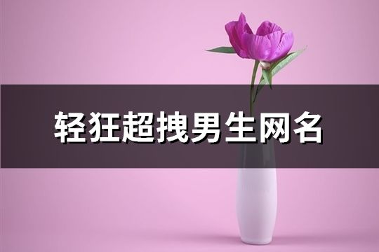 轻狂超拽男生网名(164个)