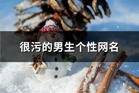 很污的男生个性网名(共80个)