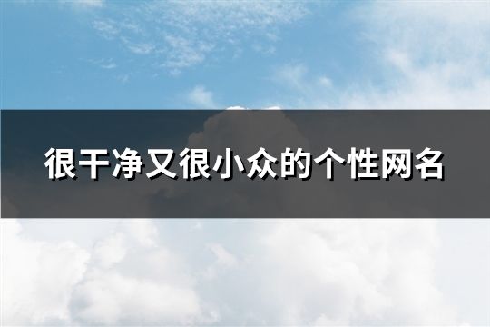 很干净又很小众的个性网名(143个)