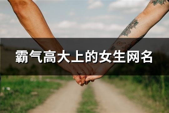 霸气高大上的女生网名(共71个)
