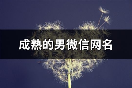 成熟的男微信网名(精选83个)