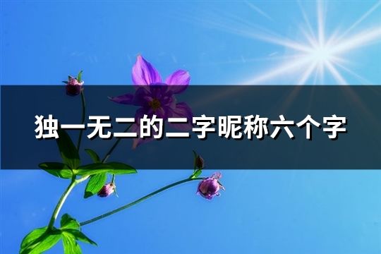 独一无二的二字昵称六个字(精选55个)