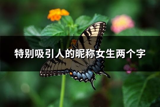 特别吸引人的昵称女生两个字(精选38个)