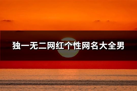 独一无二网红个性网名大全男(精选60个)