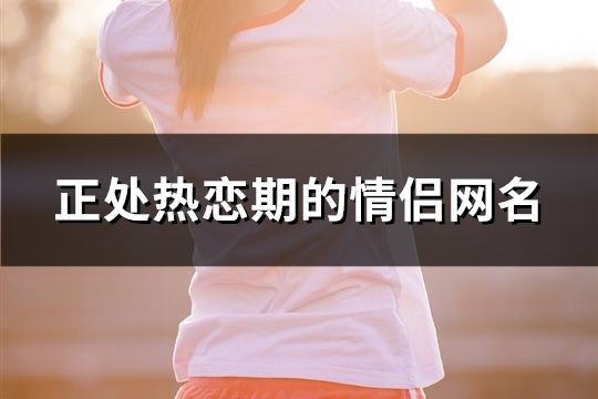 正处热恋期的情侣网名(精选123个)