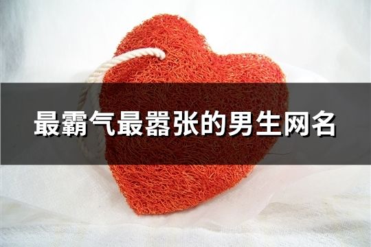 最霸气最嚣张的男生网名(107个)