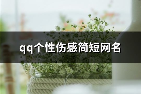 qq个性伤感简短网名(共124个)