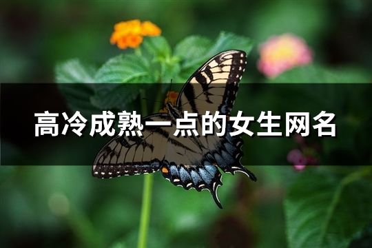 高冷成熟一点的女生网名(178个)