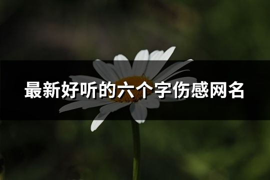 最新好听的六个字伤感网名(共82个)