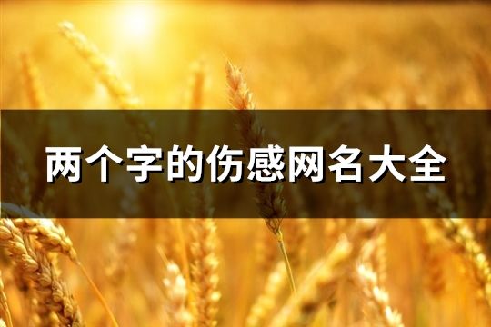 两个字的伤感网名大全(102个)