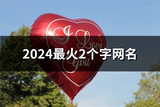 2024最火2个字网名(195个)