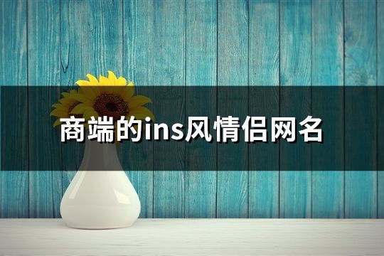 商端的ins风情侣网名(89个)