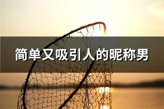 简单又吸引人的昵称男(精选53个)