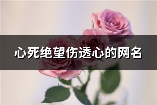 心死绝望伤透心的网名(精选169个)