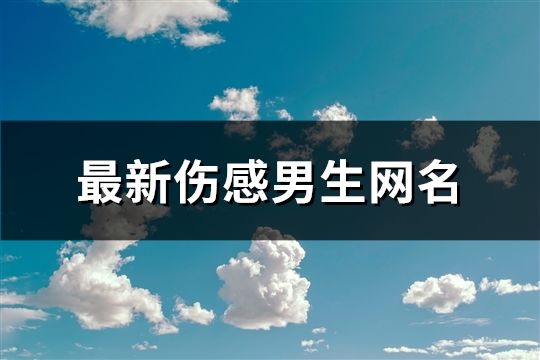 最新伤感男生网名(共116个)