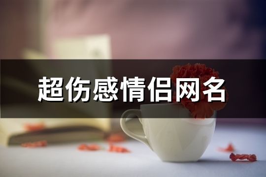 超伤感情侣网名(共174个)