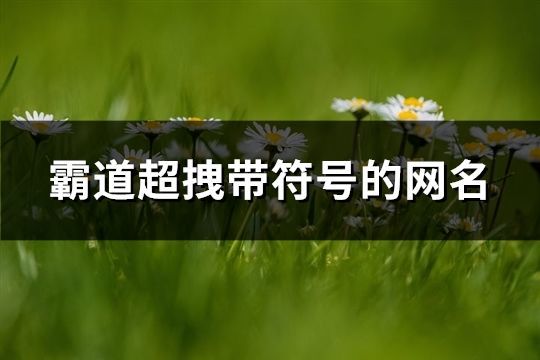 霸道超拽带符号的网名(精选106个)