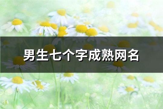 男生七个字成熟网名(172个)