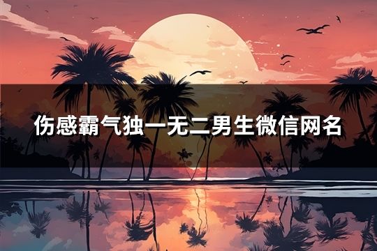 伤感霸气独一无二男生微信网名(共83个)
