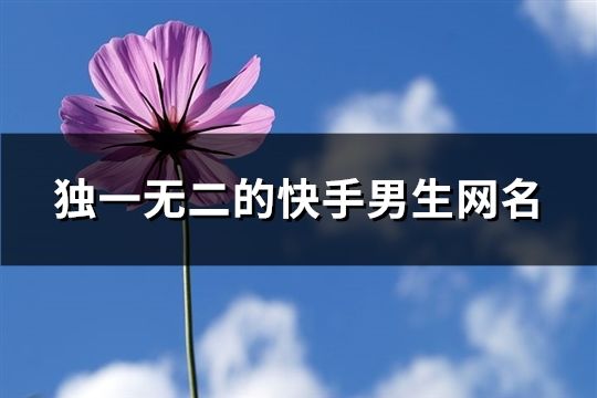 独一无二的快手男生网名(82个)