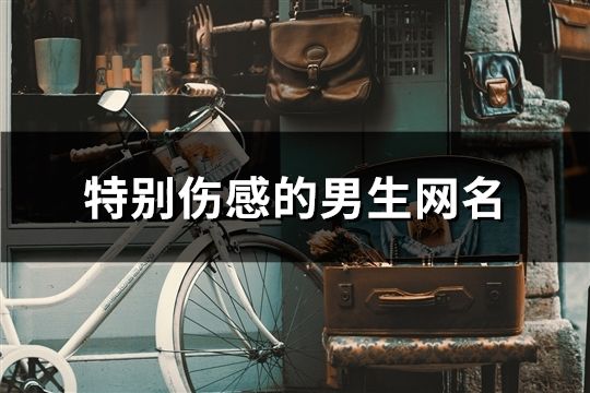 特别伤感的男生网名(精选139个)