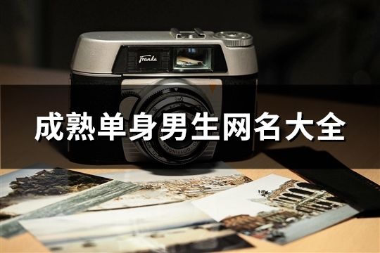 成熟单身男生网名大全(精选136个)