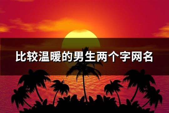 比较温暖的男生两个字网名(99个)