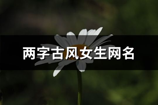 两字古风女生网名(共141个)