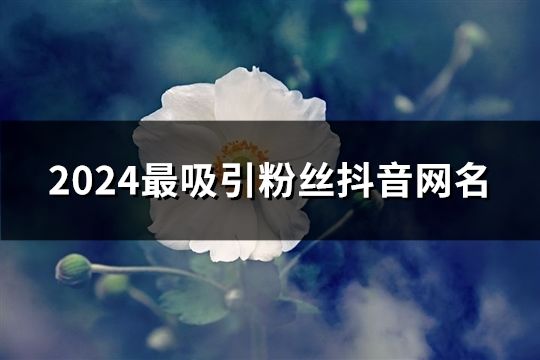 2024最吸引粉丝抖音网名(43个)