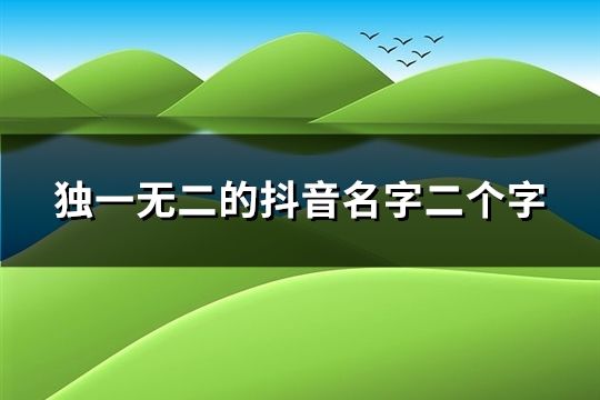 独一无二的抖音名字二个字(60个)