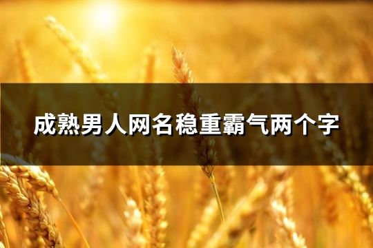 成熟男人网名稳重霸气两个字(共42个)