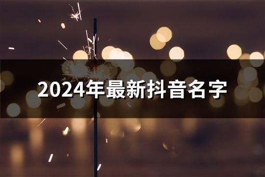 2024年最新抖音名字(41个)