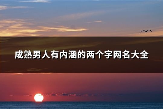 成熟男人有内涵的两个字网名大全(共31个)