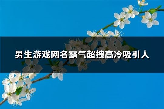 男生游戏网名霸气超拽高冷吸引人(共57个)