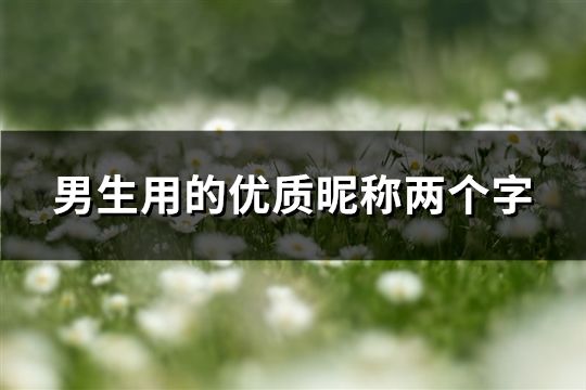 男生用的优质昵称两个字(精选49个)