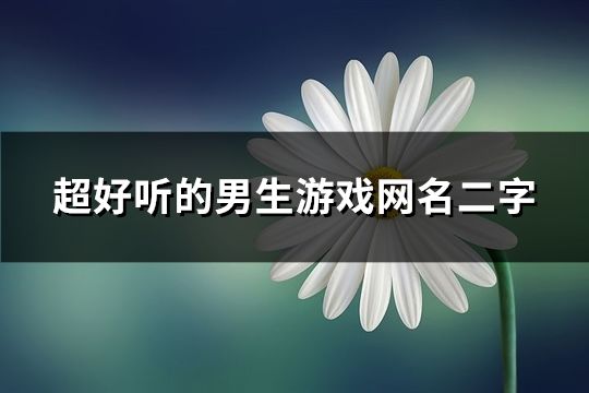 超好听的男生游戏网名二字(共47个)