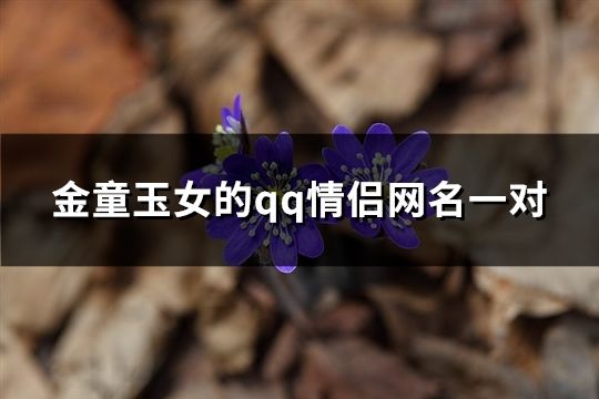 金童玉女的qq情侣网名一对(精选158对)