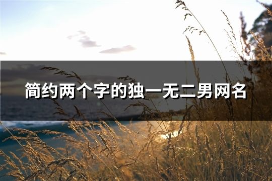 简约两个字的独一无二男网名(精选149个)