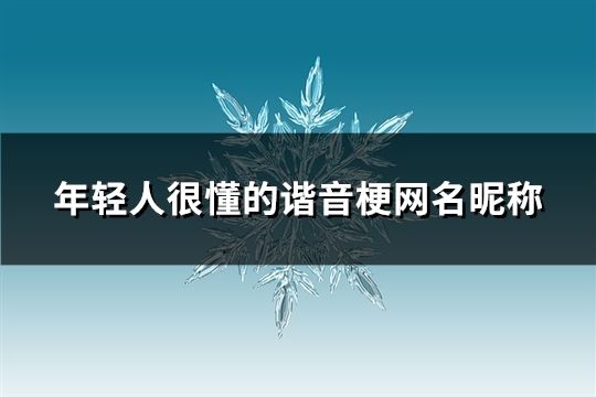 年轻人很懂的谐音梗网名昵称