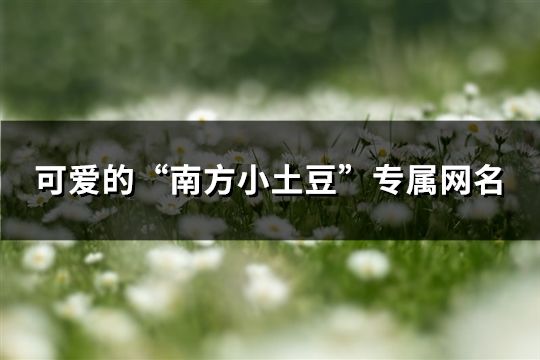 可爱的“南方小土豆”专属网名 可爱的“南方小土豆”专属网名