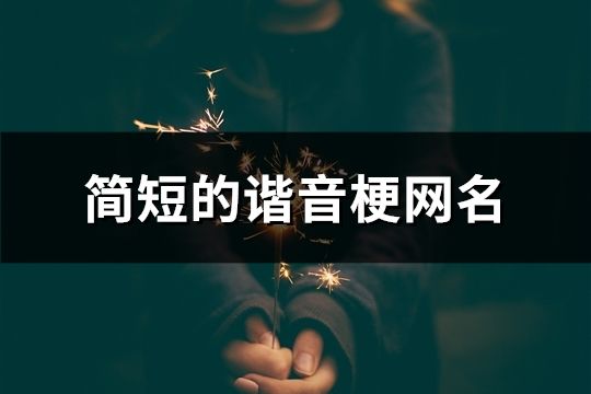 简短的谐音梗网名(共72个)