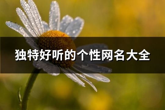 独特好听的个性网名大全(共195个)