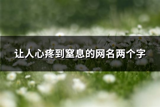 让人心疼到窒息的网名两个字(精选35个)