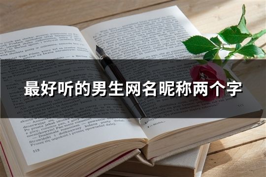 最好听的男生网名昵称两个字(47个)