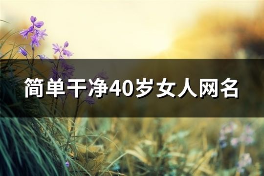 简单干净40岁女人网名(70个)