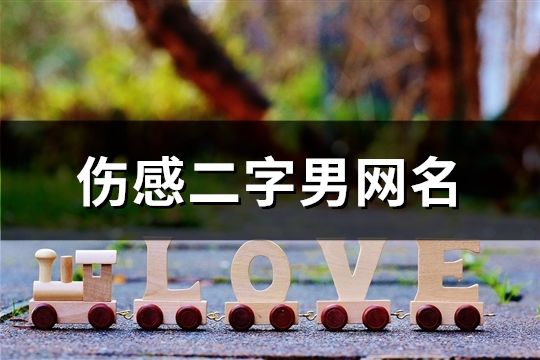 伤感二字男网名(精选106个)