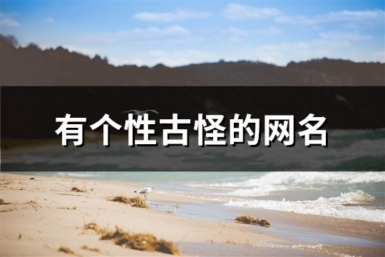 有个性古怪的网名(共170个)