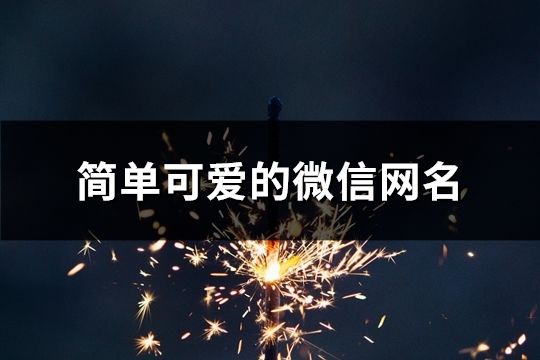 简单可爱的微信网名(精选93个)