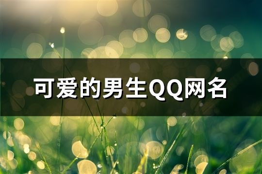 可爱的男生QQ网名(精选65个)