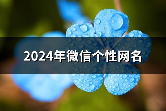 2024年微信个性网名(107个)